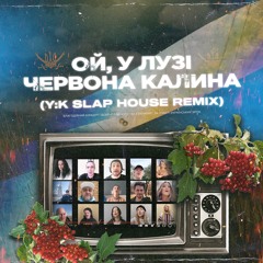 Ой у лузі червона калина (Y:K Slap House Remix)