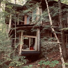 Deep Into The Forest