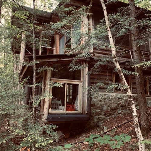 Deep Into The Forest