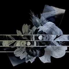 RUDIQUE & CODQ – Still Sick