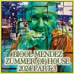 DJ BIOOL - ZUMMER OF HOUSE 2024 part 3