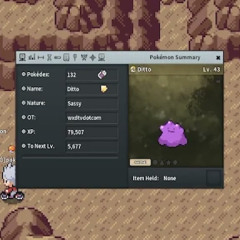 Sassy Ditto