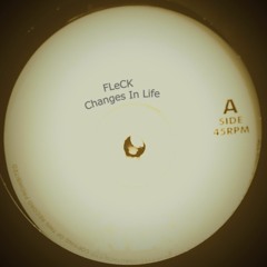 FLeCK -  Changes In Life