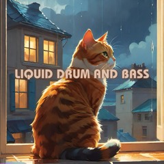 Liquid Drum and Bass Mix - Deeper Levels Of Liquid 13