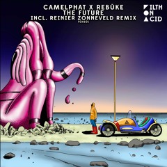Camelphat x Rebuke - The Future (Reinier Zonneveld Remix)