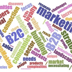 B2B & B2C Marketing  Synergistic Strategies
