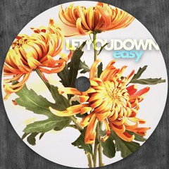 LETYOUDOWN (easy)