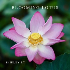 Blooming Lotus by Shirley Ly | Violin and Piano