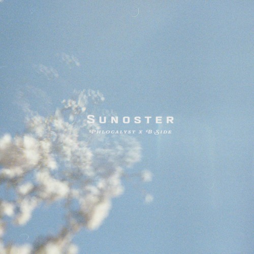 sunoster /w Phlocalyst