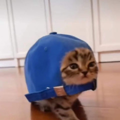 3IN1 LO NGUOI UOT AO.