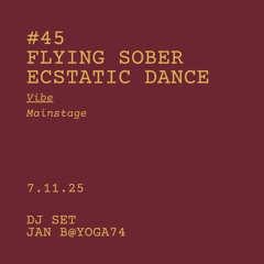 #45 FLYING SOBER ECSTATIC DANCE HEILBRONN mit Jan B