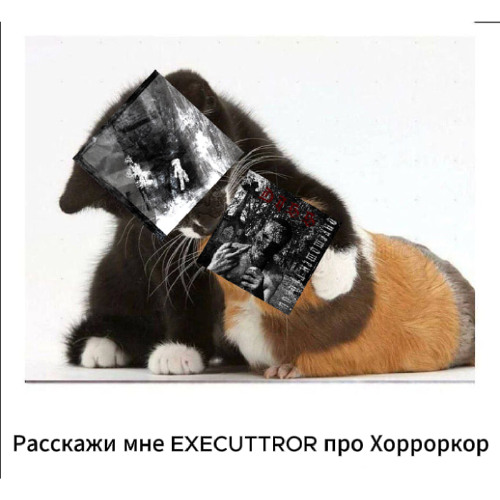 СТРУЯ (DISS EXECUTOR)