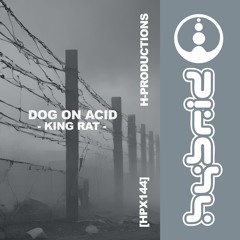 GTG Premiere | Dog On Acid - King Rat [HPX144]