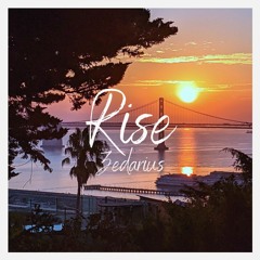 Lido - Rise (Zedarius a cappella cover)