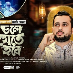 হৃদয়স্পর্শী মরমি গান | Chole Jete Hobe | Mahmud Faysal | Sunnah | Saif | Havean Tune | H Al Haadi