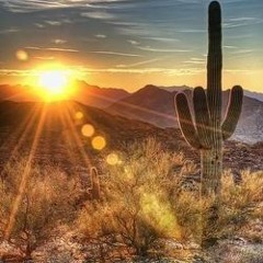 Hello Sunshine - Bruce Springsteen Cover