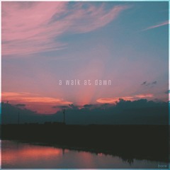 a walk at dawn
