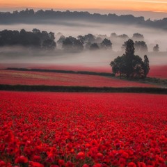 a young dope fiend, eighteen & alone [gaxillic]