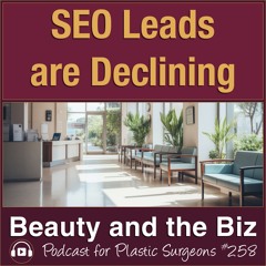 SEO Leads are Declining — with Catherine Maley, MBA (Ep. 258)