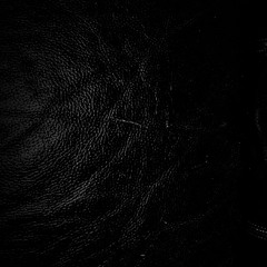 Wouldn't Ever Trust You