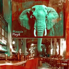 Maquis-Floyd (Collasoul Remix)