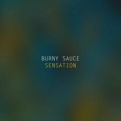 Burny Sauce Sensation (radio edit) on ALL music platforms
