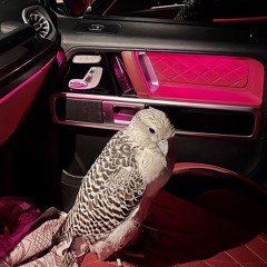 ‎⁨قربي مني شوي⁩