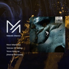PREMIERE: Nick Matthew, Voices Of Valley - Voce Interna [Astral Records]