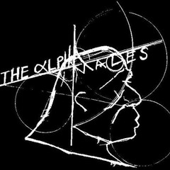 Your Brains Are Hanging Out!