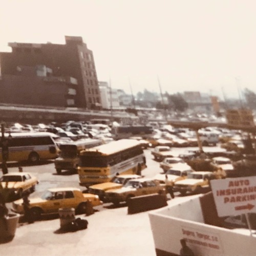 EDA BROWN_MELLOW YELLOW TAXI ★『CHILLIN IN MY SOUL EP』