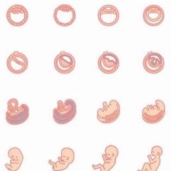 still your baby | music by eli