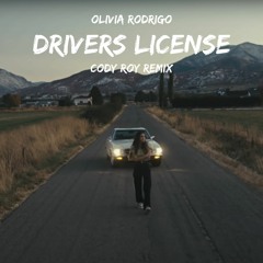 Olivia Rodrigo - Drivers License (ØBLIVIØN Remix)