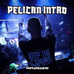 Krause Intro (Random Kicks) @ Pelican Festival 20.9.25
