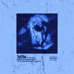 ARENA (EXTENDED) ✦