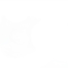 when in rome (ft. FINESSER X)(Prod. Nephew09)