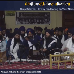 Bhai Jagpal Singh Jee kanpur