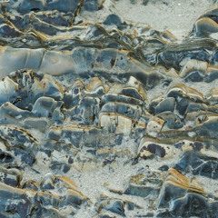 High Tide
