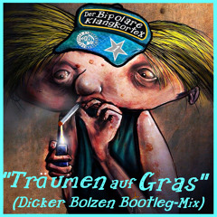 03. Der Bipolare Klangkortex - Träumen auf Gras (Juliane Werding´s Dicker Bolzen Bootleg-Mix)