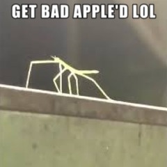 Bad Apple!! but it's Stickbug from Bee Swarm Simulator