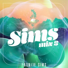 Sims Mix 3