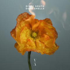 Dirty South - Dope Shells