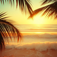 Sweet Breeze Carry Mi