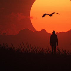 Roule  Vers  La Lumiére MAGILLA
