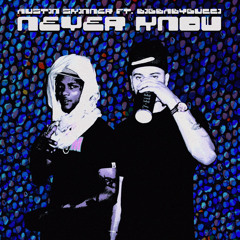 never know (feat. BIGBABYGUCCI) (prod. raiin)