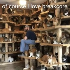 Of Course I Love Breakcore