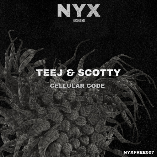 Teej & Scotty - Cellular Code (Free Download)
