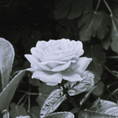 Free Download Scratch Massive - Sunken (Club Edit)