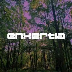 Enxertia Mixes - 001