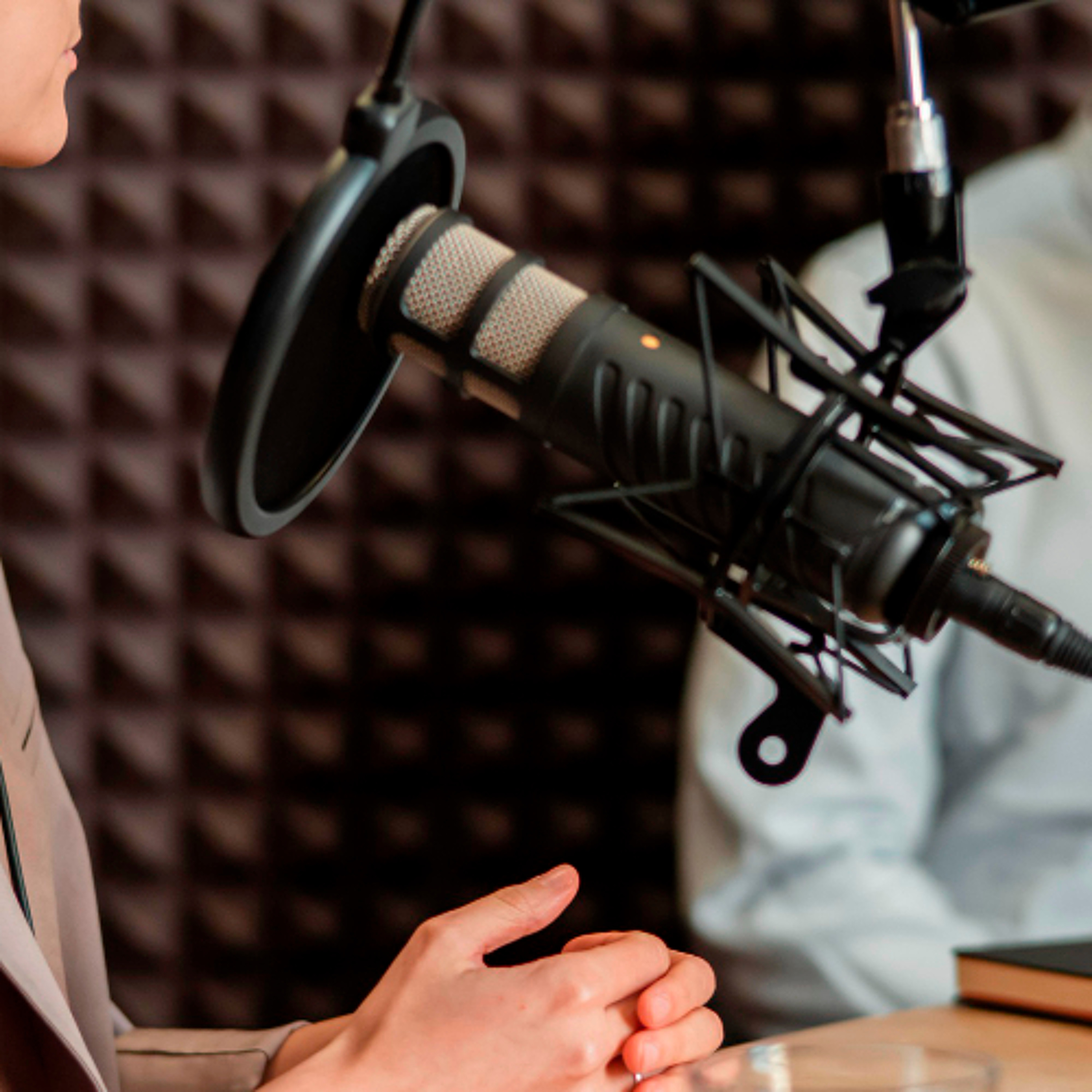 Hablando Claro con Vilma Ibarra