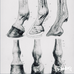 FANCY GRASS (HAZIT FLIP)